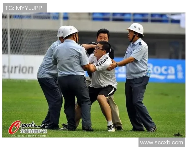 足球遭得住的背后故事与球迷心声的深度探讨